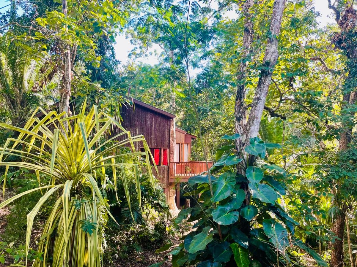 Mariposa Jungle Lodge San Ignacio Exterior photo