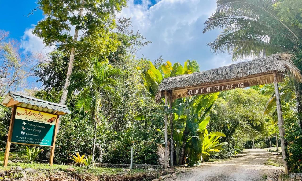 Mariposa Jungle Lodge San Ignacio Exterior photo